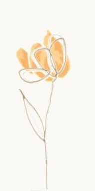 witmb009-tulip-oranzova-inzerto-kvetinove.jpg