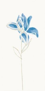 witmb010-tulip-modra-inzerto-kvetinove.jpg