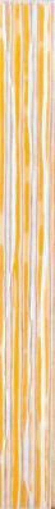 wlamh001-tulip-oranzova-listela.jpg